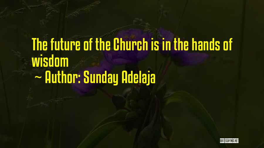 Sunday Adelaja Quotes: The Future Of The Church Is In The Hands Of Wisdom