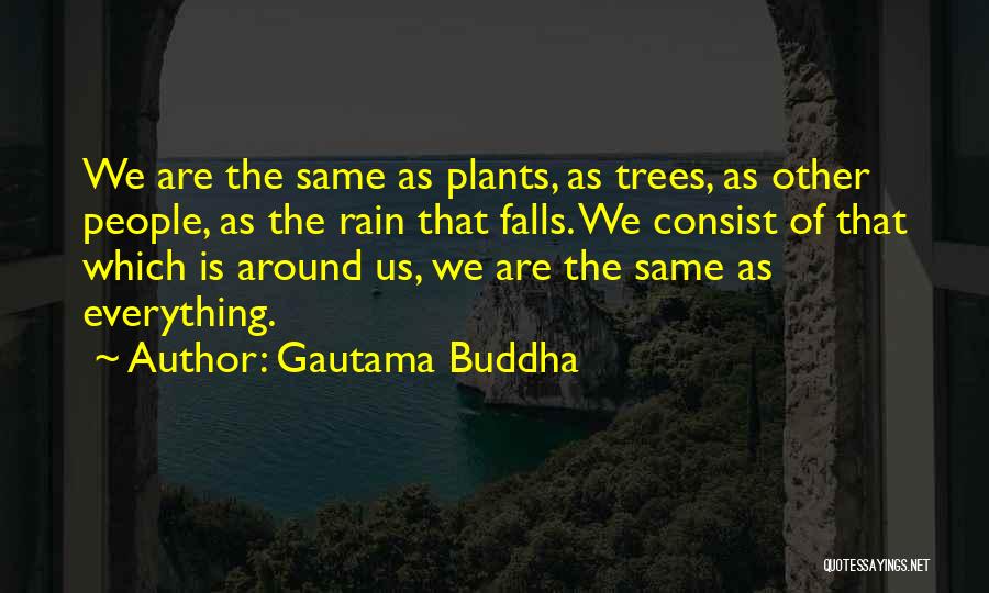 Gautama Buddha Quotes: We Are The Same As Plants, As Trees, As Other People, As The Rain That Falls. We Consist Of That