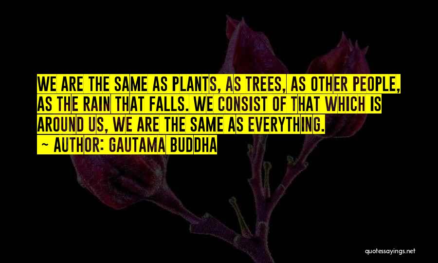 Gautama Buddha Quotes: We Are The Same As Plants, As Trees, As Other People, As The Rain That Falls. We Consist Of That