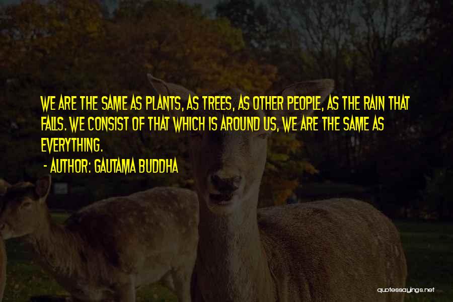 Gautama Buddha Quotes: We Are The Same As Plants, As Trees, As Other People, As The Rain That Falls. We Consist Of That