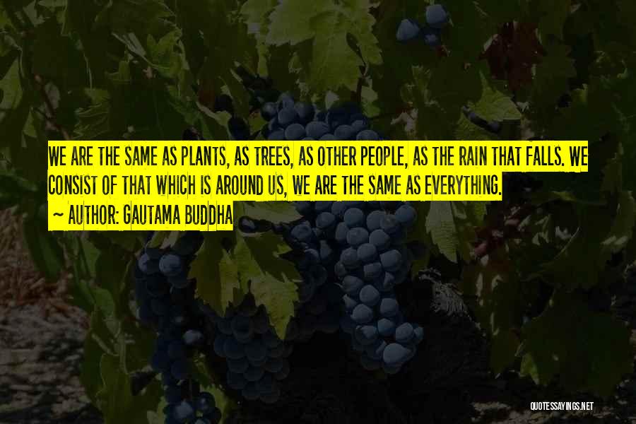 Gautama Buddha Quotes: We Are The Same As Plants, As Trees, As Other People, As The Rain That Falls. We Consist Of That