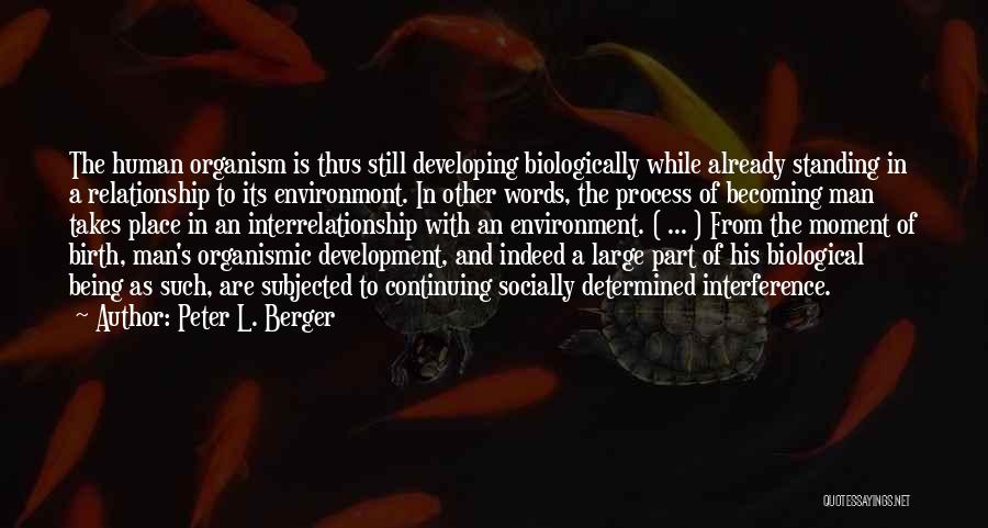 Peter L. Berger Quotes: The Human Organism Is Thus Still Developing Biologically While Already Standing In A Relationship To Its Environmont. In Other Words,