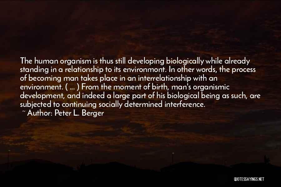 Peter L. Berger Quotes: The Human Organism Is Thus Still Developing Biologically While Already Standing In A Relationship To Its Environmont. In Other Words,