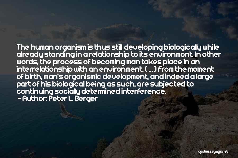 Peter L. Berger Quotes: The Human Organism Is Thus Still Developing Biologically While Already Standing In A Relationship To Its Environmont. In Other Words,