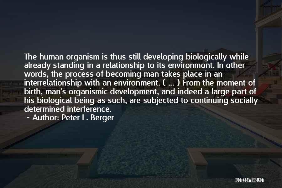 Peter L. Berger Quotes: The Human Organism Is Thus Still Developing Biologically While Already Standing In A Relationship To Its Environmont. In Other Words,