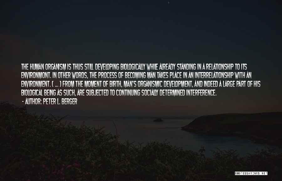 Peter L. Berger Quotes: The Human Organism Is Thus Still Developing Biologically While Already Standing In A Relationship To Its Environmont. In Other Words,