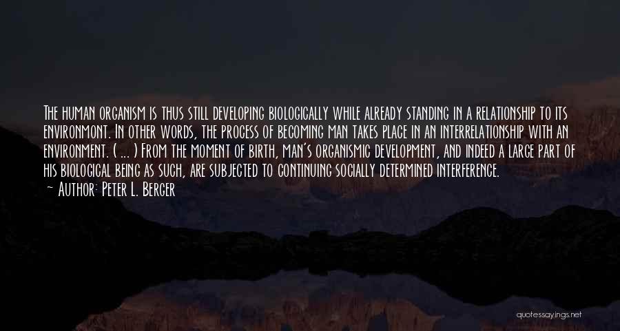 Peter L. Berger Quotes: The Human Organism Is Thus Still Developing Biologically While Already Standing In A Relationship To Its Environmont. In Other Words,