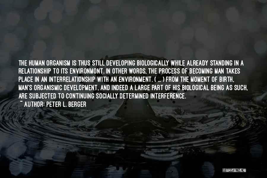 Peter L. Berger Quotes: The Human Organism Is Thus Still Developing Biologically While Already Standing In A Relationship To Its Environmont. In Other Words,