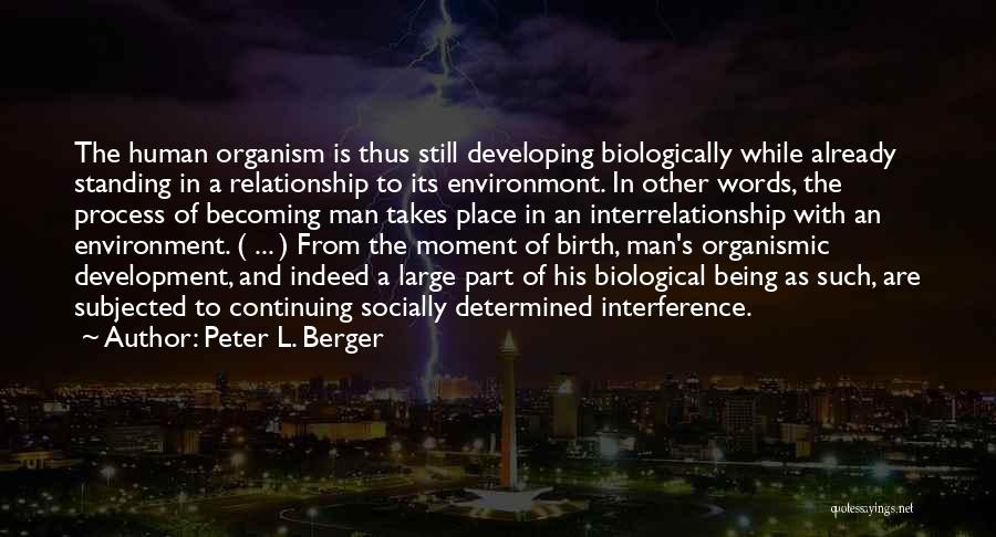 Peter L. Berger Quotes: The Human Organism Is Thus Still Developing Biologically While Already Standing In A Relationship To Its Environmont. In Other Words,