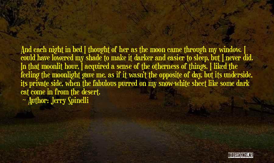 Jerry Spinelli Quotes: And Each Night In Bed I Thought Of Her As The Moon Came Through My Window. I Could Have Lowered