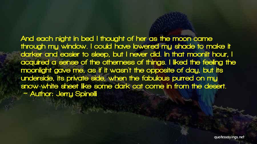 Jerry Spinelli Quotes: And Each Night In Bed I Thought Of Her As The Moon Came Through My Window. I Could Have Lowered