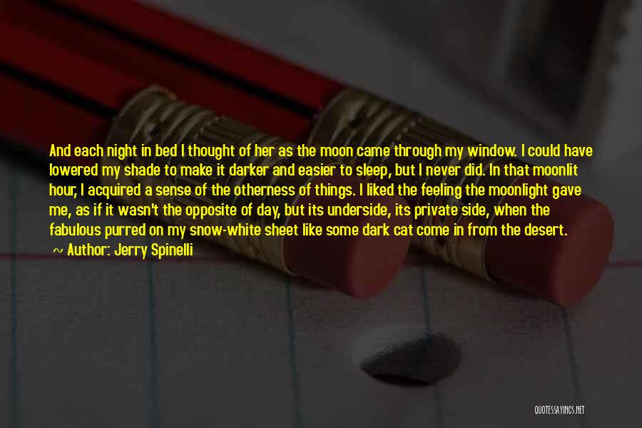 Jerry Spinelli Quotes: And Each Night In Bed I Thought Of Her As The Moon Came Through My Window. I Could Have Lowered