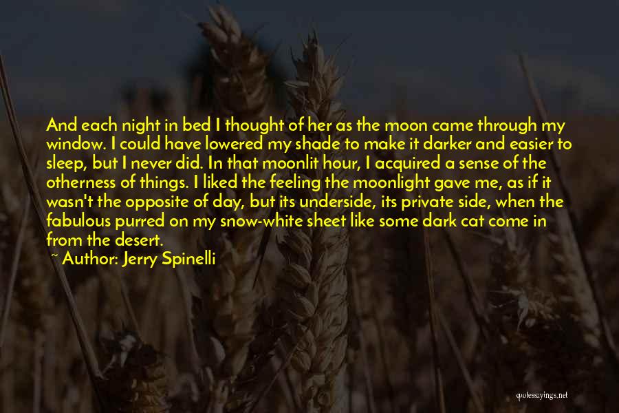 Jerry Spinelli Quotes: And Each Night In Bed I Thought Of Her As The Moon Came Through My Window. I Could Have Lowered