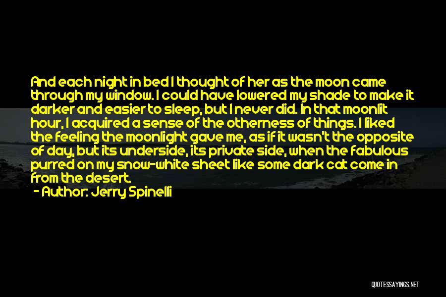 Jerry Spinelli Quotes: And Each Night In Bed I Thought Of Her As The Moon Came Through My Window. I Could Have Lowered