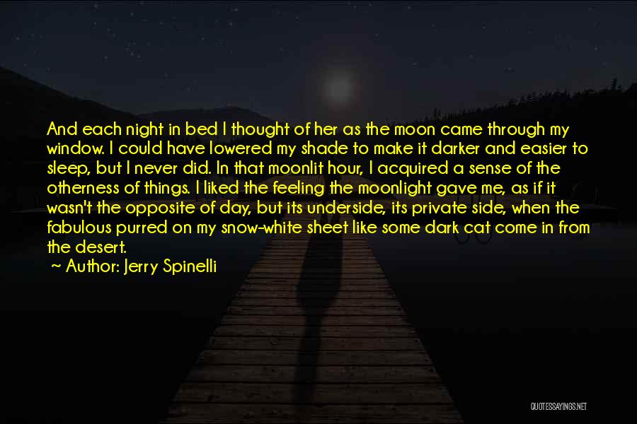 Jerry Spinelli Quotes: And Each Night In Bed I Thought Of Her As The Moon Came Through My Window. I Could Have Lowered