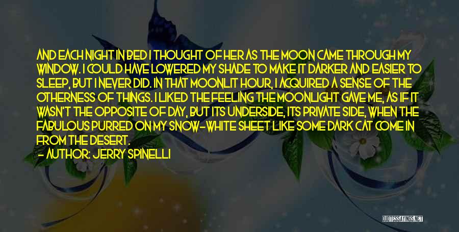 Jerry Spinelli Quotes: And Each Night In Bed I Thought Of Her As The Moon Came Through My Window. I Could Have Lowered