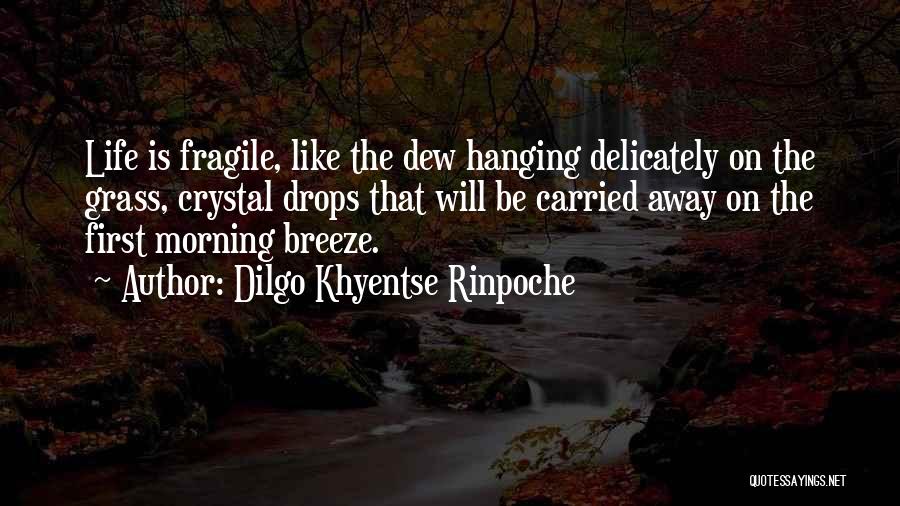 Dilgo Khyentse Rinpoche Quotes: Life Is Fragile, Like The Dew Hanging Delicately On The Grass, Crystal Drops That Will Be Carried Away On The