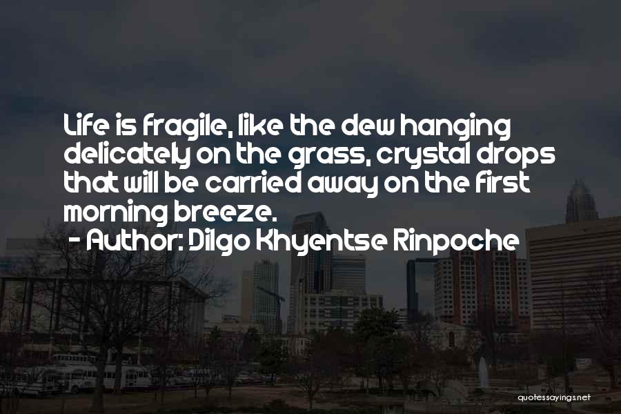 Dilgo Khyentse Rinpoche Quotes: Life Is Fragile, Like The Dew Hanging Delicately On The Grass, Crystal Drops That Will Be Carried Away On The