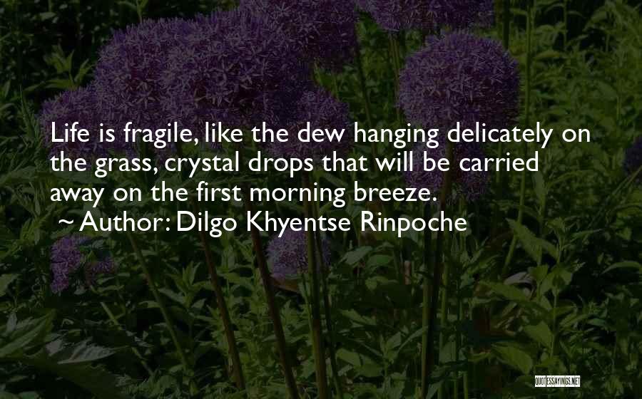 Dilgo Khyentse Rinpoche Quotes: Life Is Fragile, Like The Dew Hanging Delicately On The Grass, Crystal Drops That Will Be Carried Away On The