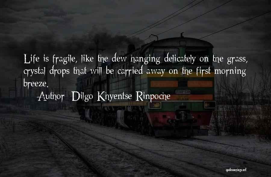 Dilgo Khyentse Rinpoche Quotes: Life Is Fragile, Like The Dew Hanging Delicately On The Grass, Crystal Drops That Will Be Carried Away On The