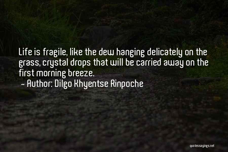 Dilgo Khyentse Rinpoche Quotes: Life Is Fragile, Like The Dew Hanging Delicately On The Grass, Crystal Drops That Will Be Carried Away On The