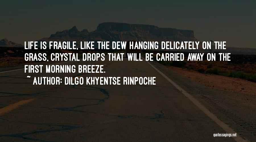 Dilgo Khyentse Rinpoche Quotes: Life Is Fragile, Like The Dew Hanging Delicately On The Grass, Crystal Drops That Will Be Carried Away On The