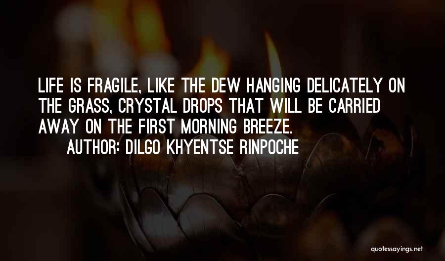 Dilgo Khyentse Rinpoche Quotes: Life Is Fragile, Like The Dew Hanging Delicately On The Grass, Crystal Drops That Will Be Carried Away On The