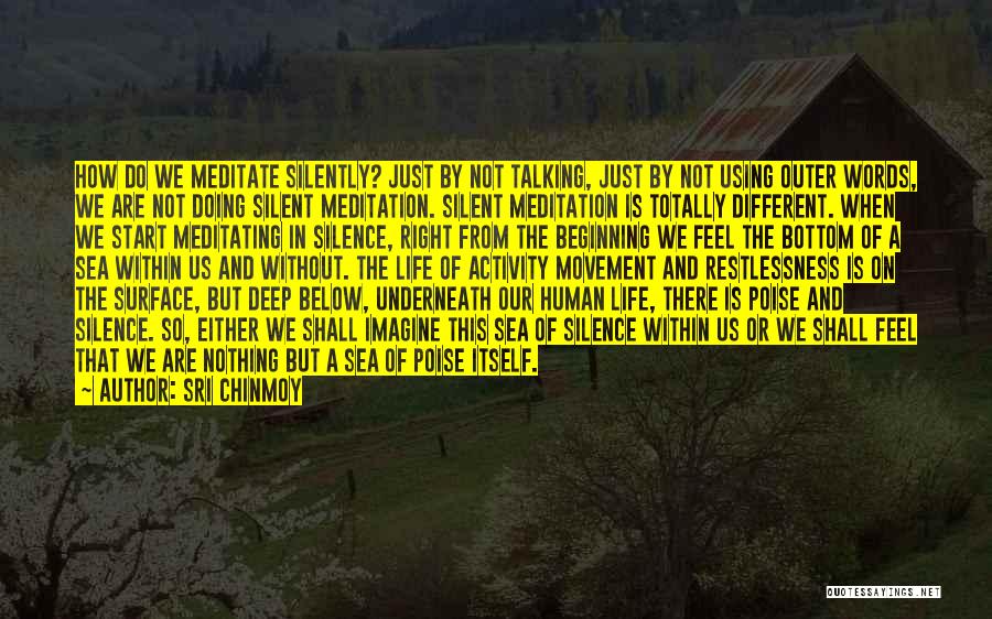 Sri Chinmoy Quotes: How Do We Meditate Silently? Just By Not Talking, Just By Not Using Outer Words, We Are Not Doing Silent