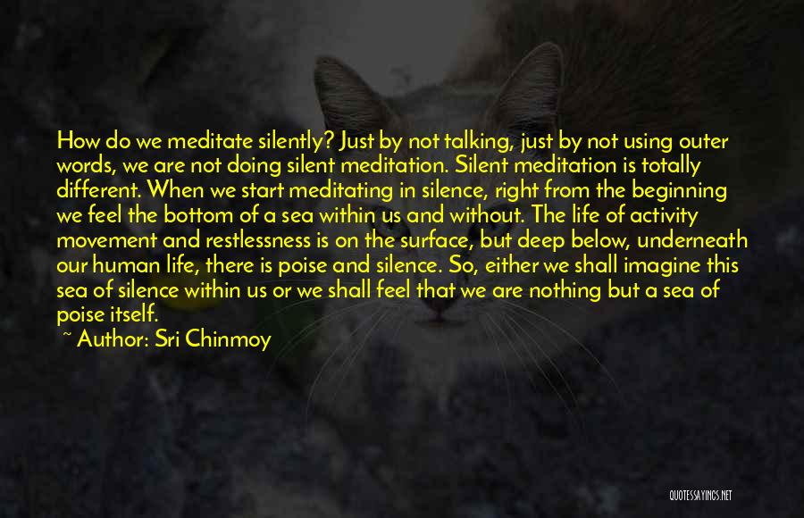 Sri Chinmoy Quotes: How Do We Meditate Silently? Just By Not Talking, Just By Not Using Outer Words, We Are Not Doing Silent