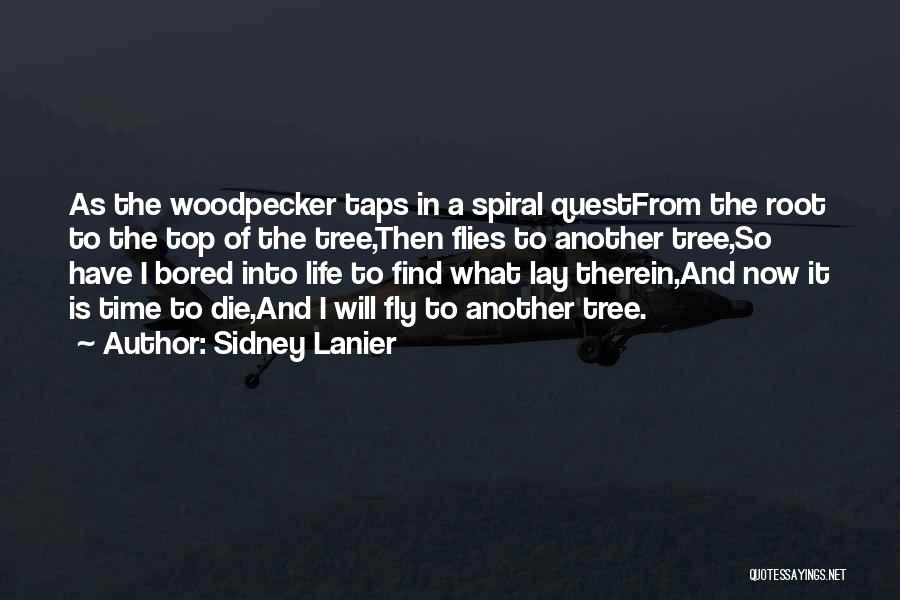 Sidney Lanier Quotes: As The Woodpecker Taps In A Spiral Questfrom The Root To The Top Of The Tree,then Flies To Another Tree,so