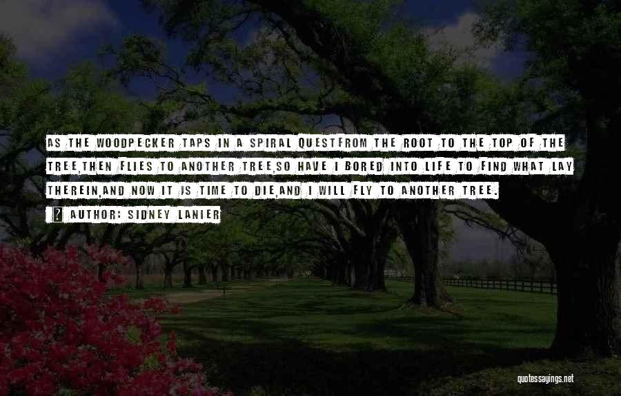 Sidney Lanier Quotes: As The Woodpecker Taps In A Spiral Questfrom The Root To The Top Of The Tree,then Flies To Another Tree,so