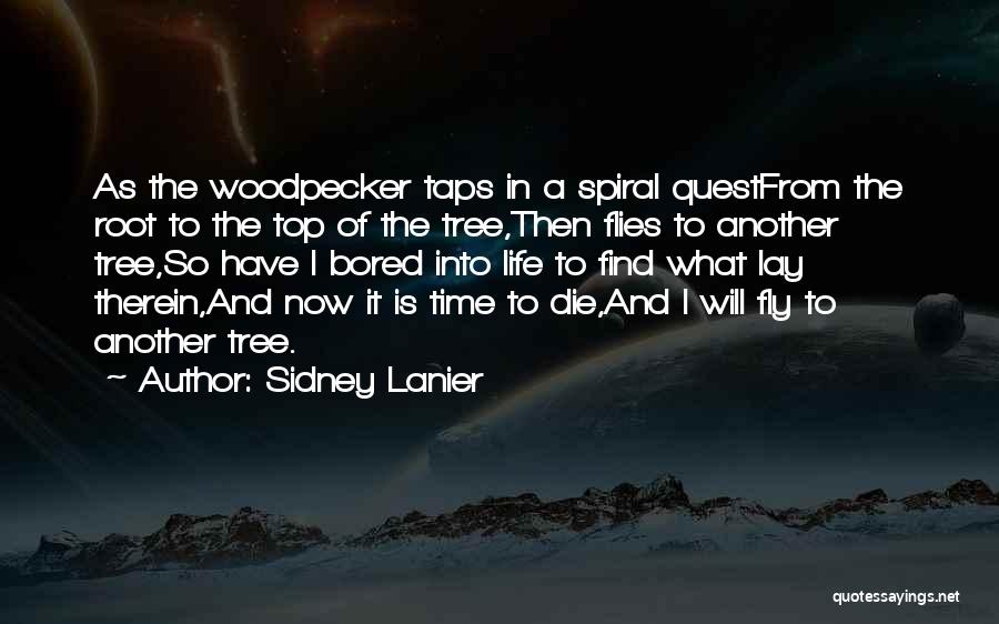 Sidney Lanier Quotes: As The Woodpecker Taps In A Spiral Questfrom The Root To The Top Of The Tree,then Flies To Another Tree,so