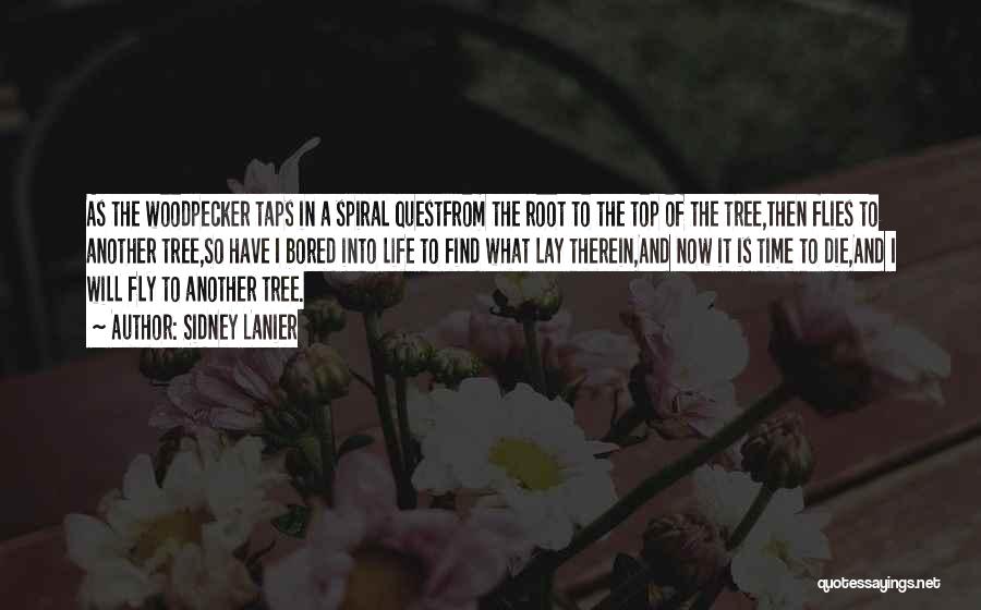 Sidney Lanier Quotes: As The Woodpecker Taps In A Spiral Questfrom The Root To The Top Of The Tree,then Flies To Another Tree,so