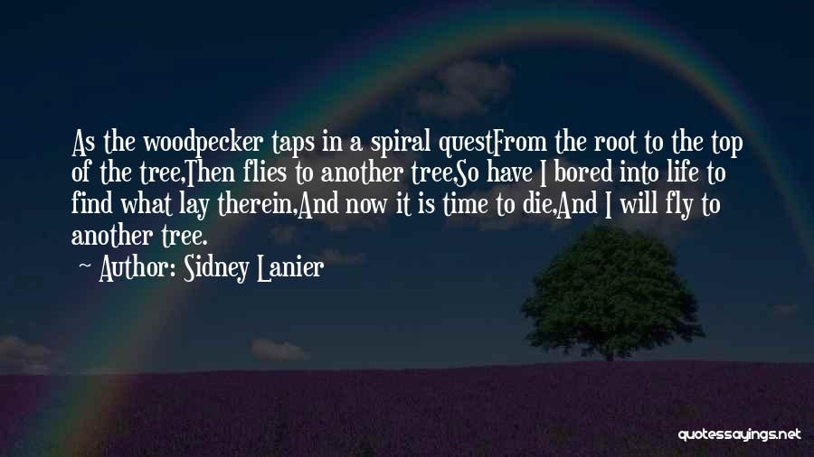 Sidney Lanier Quotes: As The Woodpecker Taps In A Spiral Questfrom The Root To The Top Of The Tree,then Flies To Another Tree,so