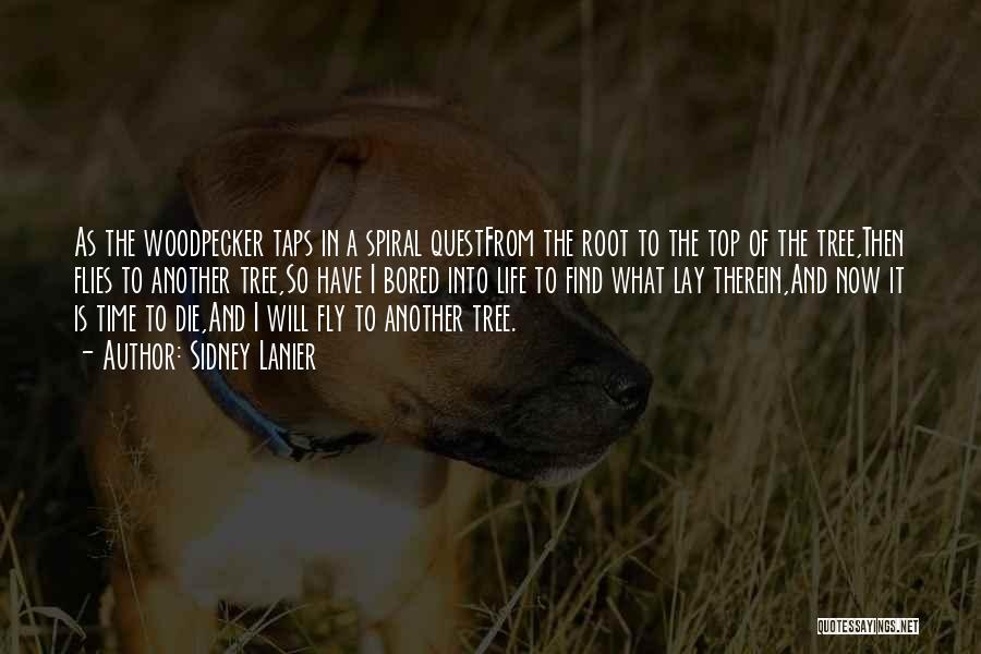 Sidney Lanier Quotes: As The Woodpecker Taps In A Spiral Questfrom The Root To The Top Of The Tree,then Flies To Another Tree,so