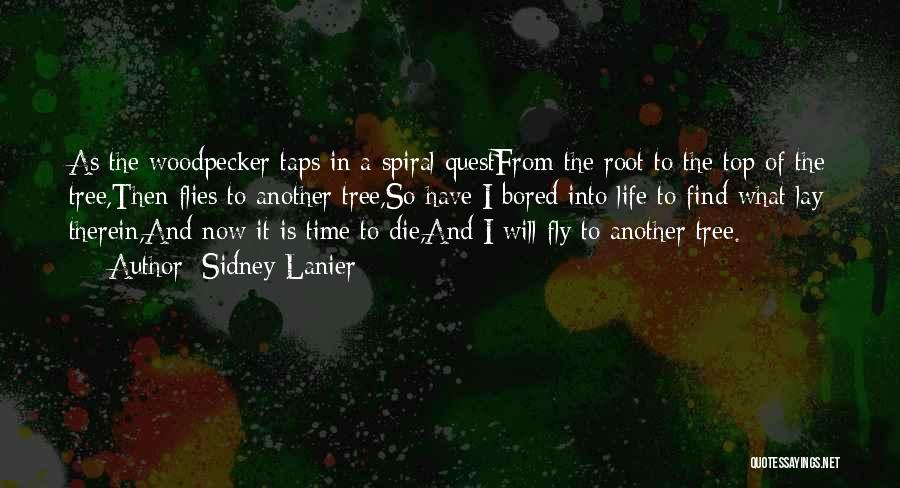 Sidney Lanier Quotes: As The Woodpecker Taps In A Spiral Questfrom The Root To The Top Of The Tree,then Flies To Another Tree,so