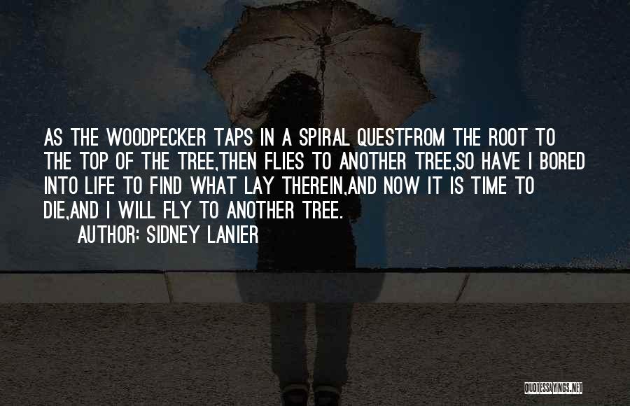 Sidney Lanier Quotes: As The Woodpecker Taps In A Spiral Questfrom The Root To The Top Of The Tree,then Flies To Another Tree,so