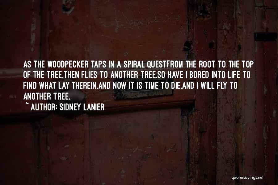 Sidney Lanier Quotes: As The Woodpecker Taps In A Spiral Questfrom The Root To The Top Of The Tree,then Flies To Another Tree,so