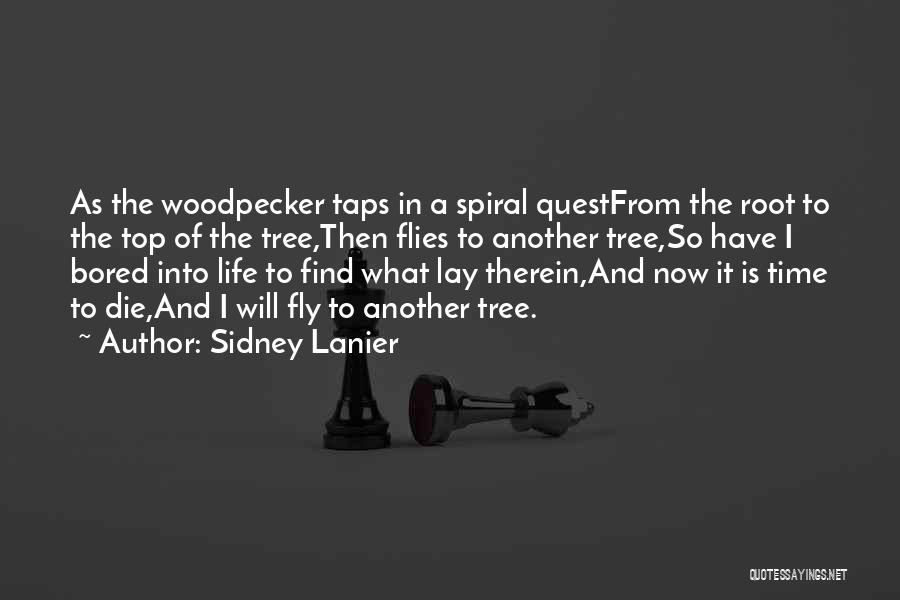 Sidney Lanier Quotes: As The Woodpecker Taps In A Spiral Questfrom The Root To The Top Of The Tree,then Flies To Another Tree,so