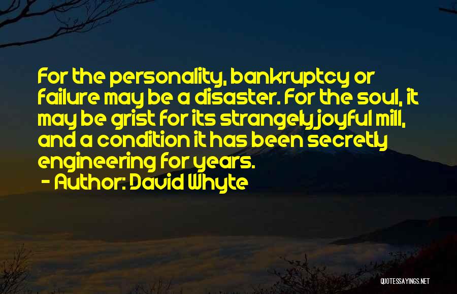 David Whyte Quotes: For The Personality, Bankruptcy Or Failure May Be A Disaster. For The Soul, It May Be Grist For Its Strangely