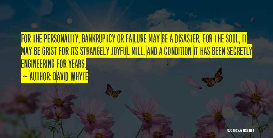 David Whyte Quotes: For The Personality, Bankruptcy Or Failure May Be A Disaster. For The Soul, It May Be Grist For Its Strangely