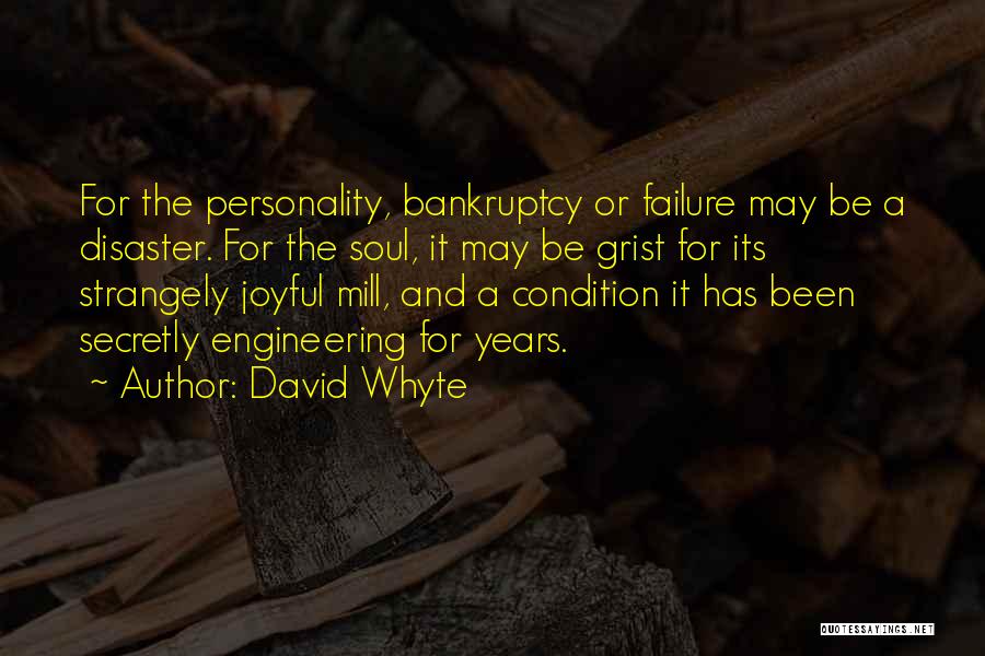 David Whyte Quotes: For The Personality, Bankruptcy Or Failure May Be A Disaster. For The Soul, It May Be Grist For Its Strangely