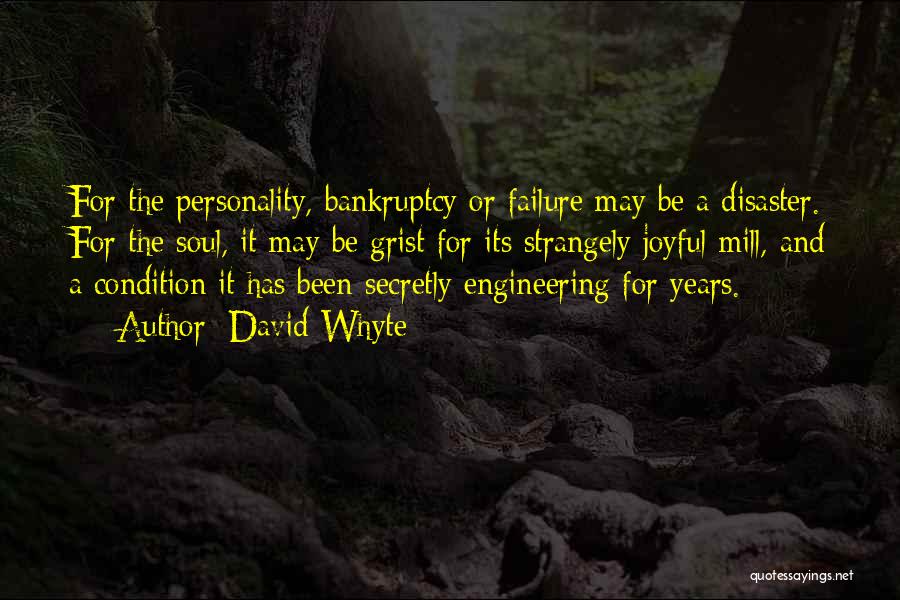 David Whyte Quotes: For The Personality, Bankruptcy Or Failure May Be A Disaster. For The Soul, It May Be Grist For Its Strangely