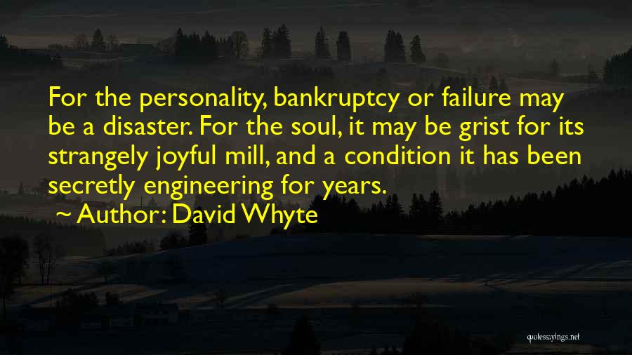 David Whyte Quotes: For The Personality, Bankruptcy Or Failure May Be A Disaster. For The Soul, It May Be Grist For Its Strangely