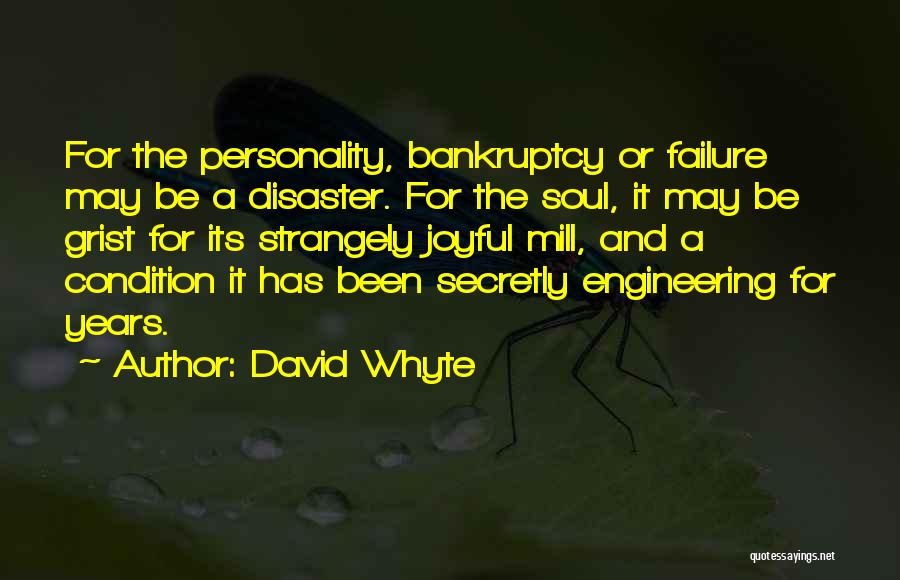 David Whyte Quotes: For The Personality, Bankruptcy Or Failure May Be A Disaster. For The Soul, It May Be Grist For Its Strangely