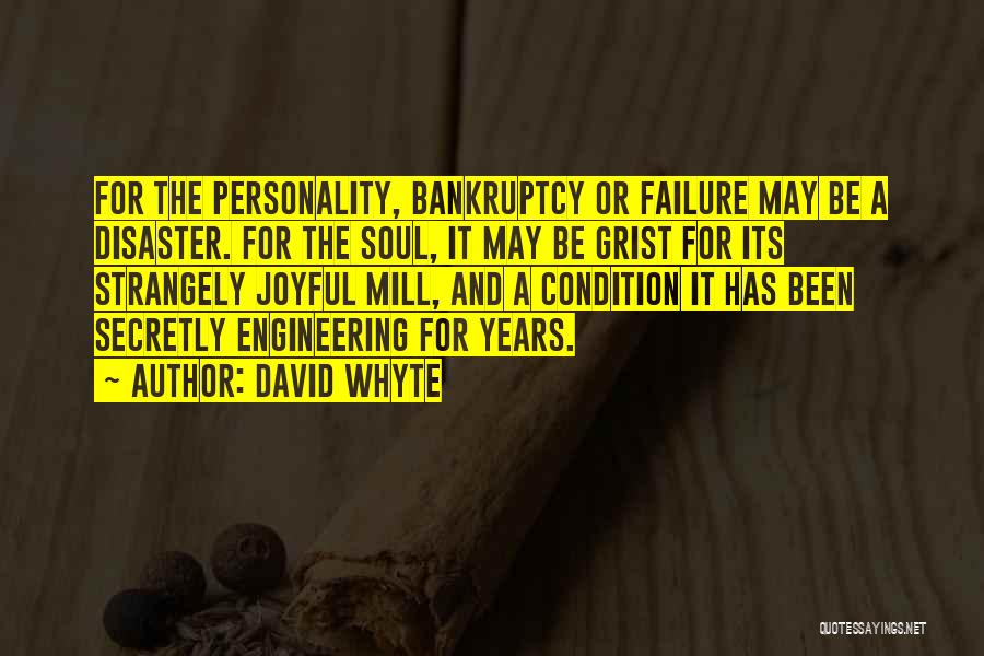 David Whyte Quotes: For The Personality, Bankruptcy Or Failure May Be A Disaster. For The Soul, It May Be Grist For Its Strangely