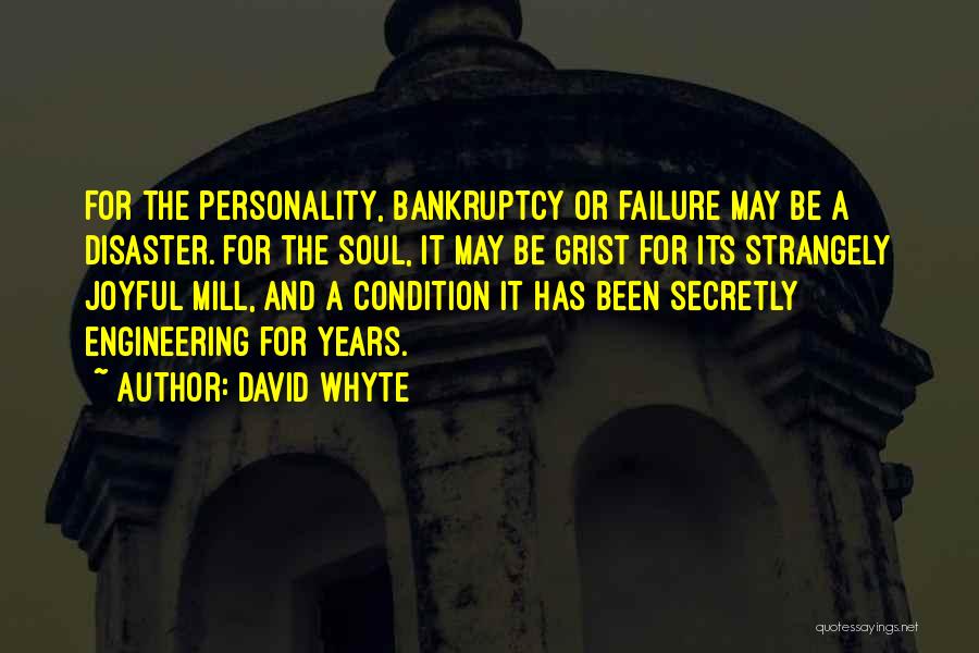 David Whyte Quotes: For The Personality, Bankruptcy Or Failure May Be A Disaster. For The Soul, It May Be Grist For Its Strangely