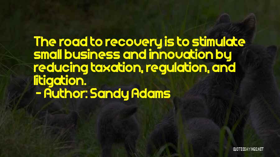 Sandy Adams Quotes: The Road To Recovery Is To Stimulate Small Business And Innovation By Reducing Taxation, Regulation, And Litigation.