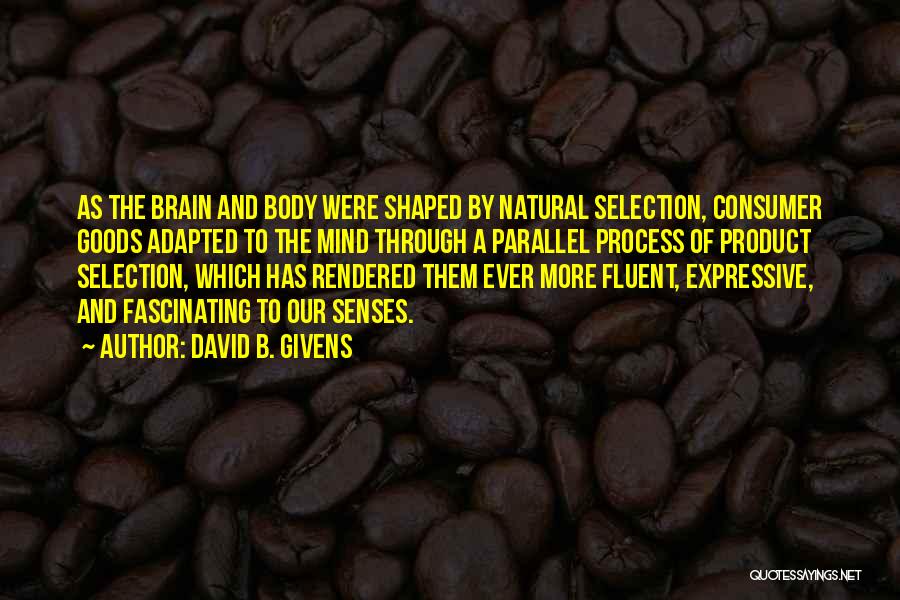 David B. Givens Quotes: As The Brain And Body Were Shaped By Natural Selection, Consumer Goods Adapted To The Mind Through A Parallel Process