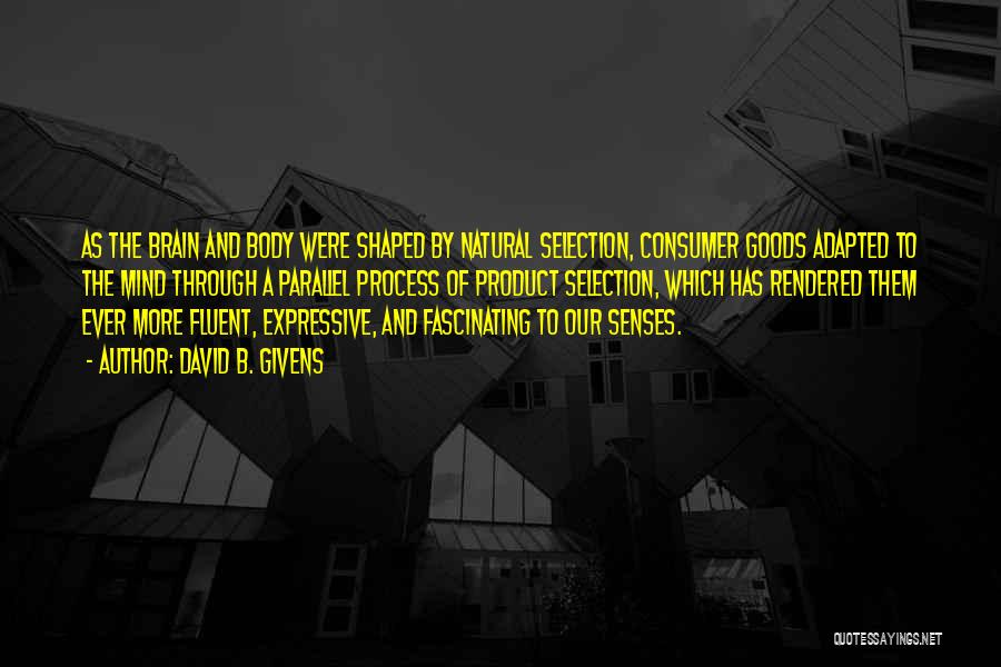 David B. Givens Quotes: As The Brain And Body Were Shaped By Natural Selection, Consumer Goods Adapted To The Mind Through A Parallel Process